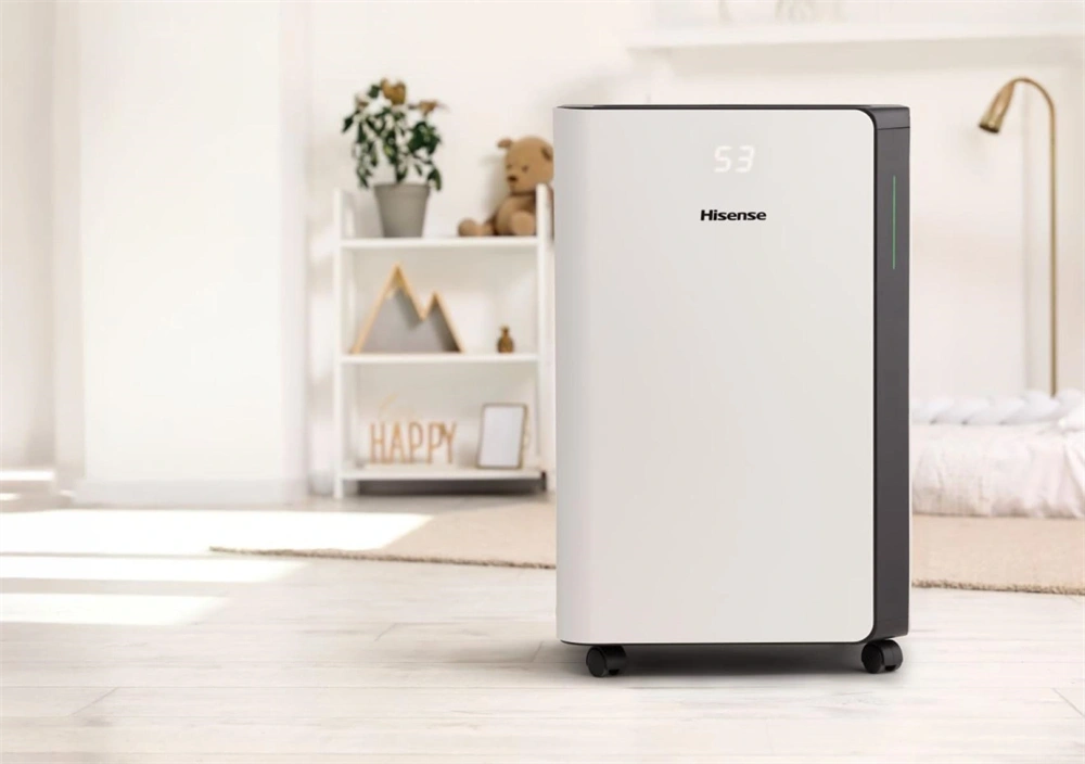 Hisense D20CW páramentesítő