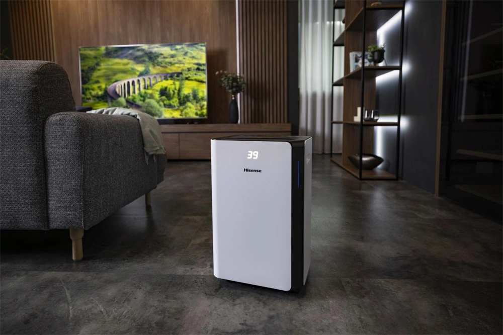 Hisense D20CW páramentesítő