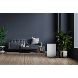 Hisense D20HW páramentesítő