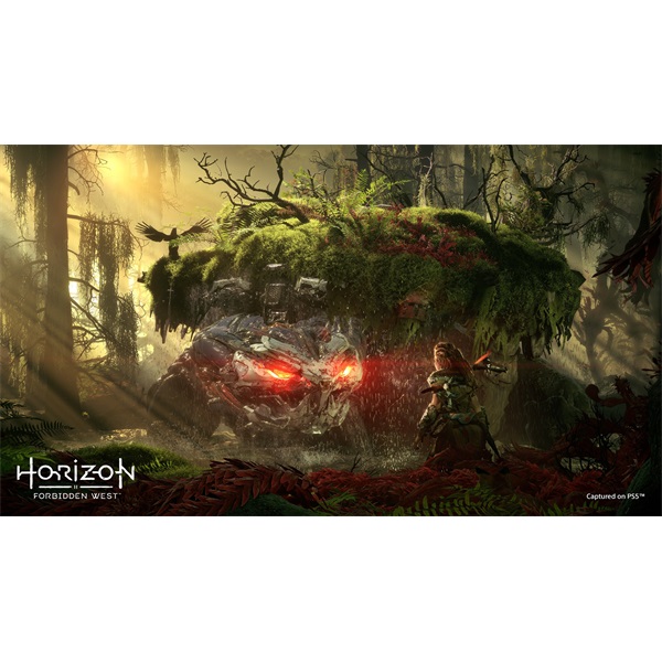 Horizon Forbidden West PS4 játékszoftver (Használt - A)