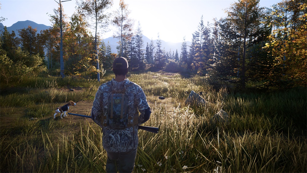 Hunting Simulator 2 Xbox Series X játékszoftver (Újszerű)