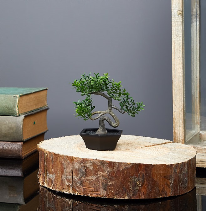 IRIS E5688 BONSAI dekoráció művirággal cserépben 10x13cm