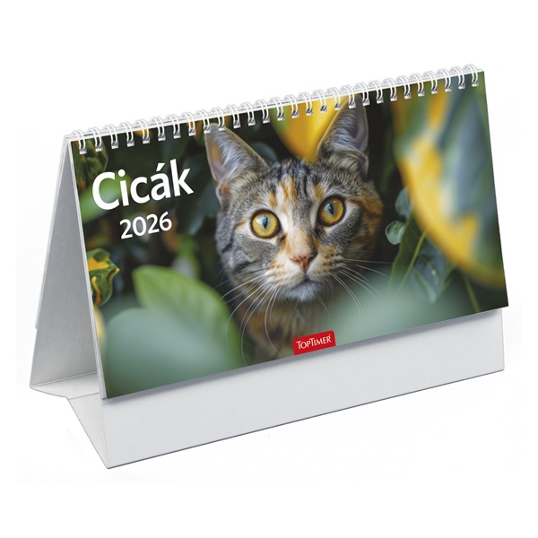 Kalendart 2026 T058 Cicák álló asztali naptár