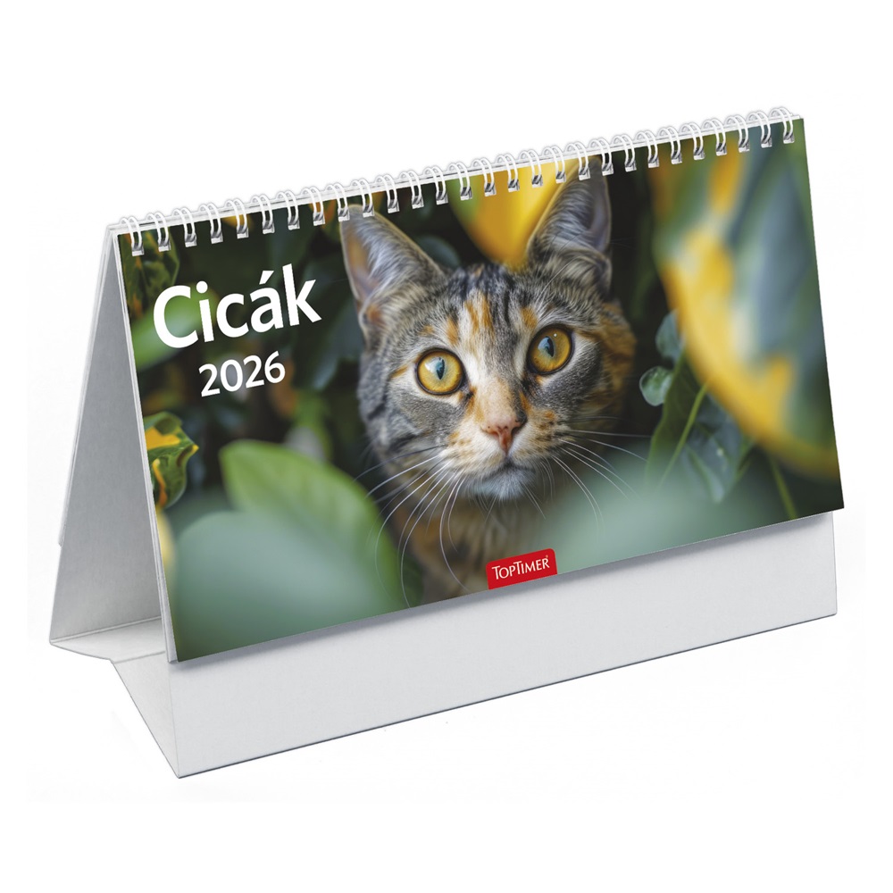 Kalendart 2026 T058 Cicák álló asztali naptár