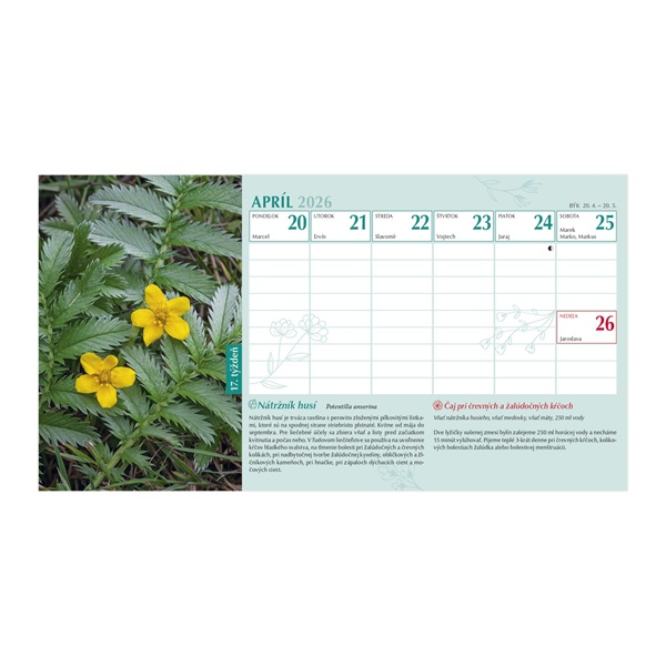 Kalendart 2026 T058 Gyógyító természet álló asztali naptár