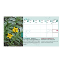 Kalendart 2026 T058 Gyógyító természet álló asztali naptár
