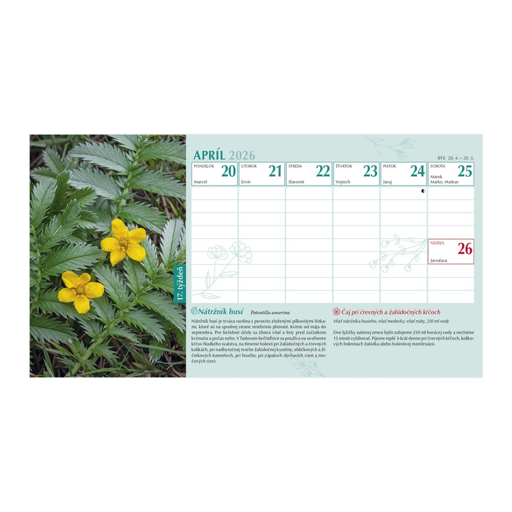 Kalendart 2026 T058 Gyógyító természet álló asztali naptár