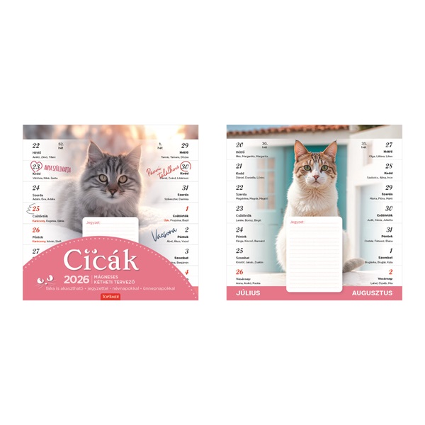 Kalendart 2026 T090 Cicák mágneses falinaptár