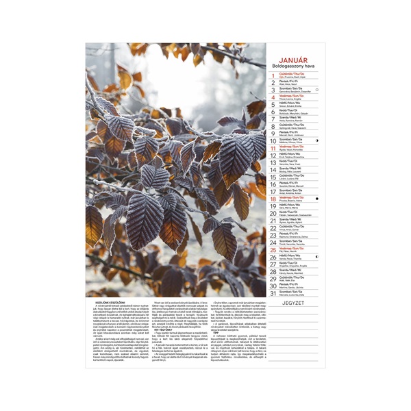 Kalendart 2026 T093 Kertésznaptár falinaptár
