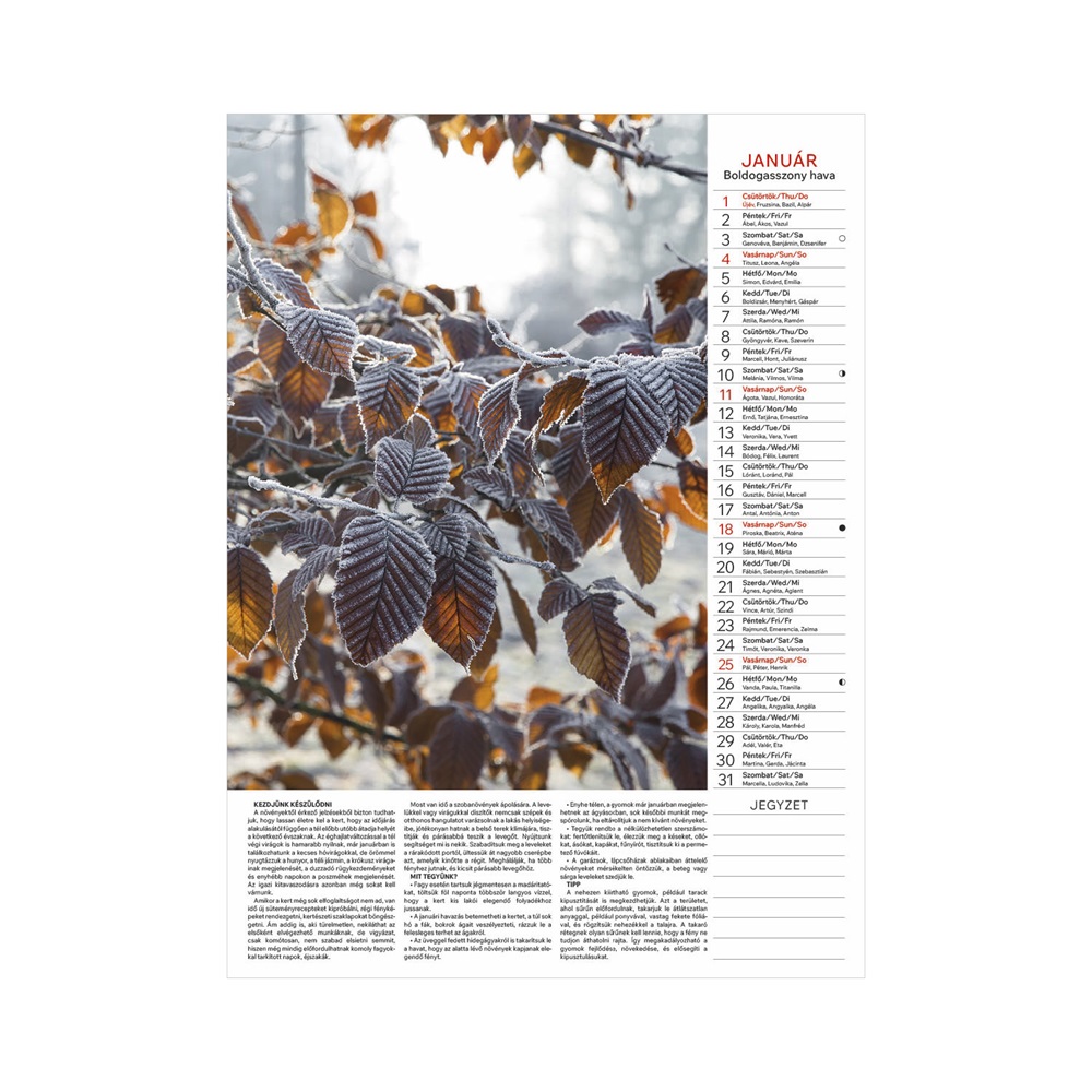 Kalendart 2026 T093 Kertésznaptár falinaptár