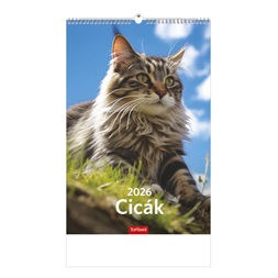 Kalendart 2026 T094 Cicák falinaptár