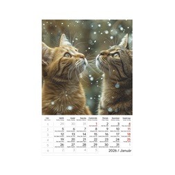 Kalendart 2026 T094 Cicák falinaptár