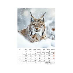 Kalendart 2026 T094 Vadállatok falinaptár