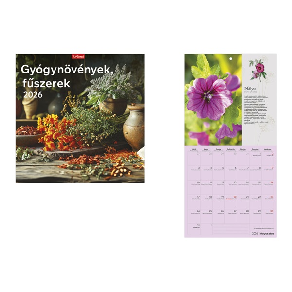 Kalendart 2026 T098 Gyógynövények, fűszerek falinaptár