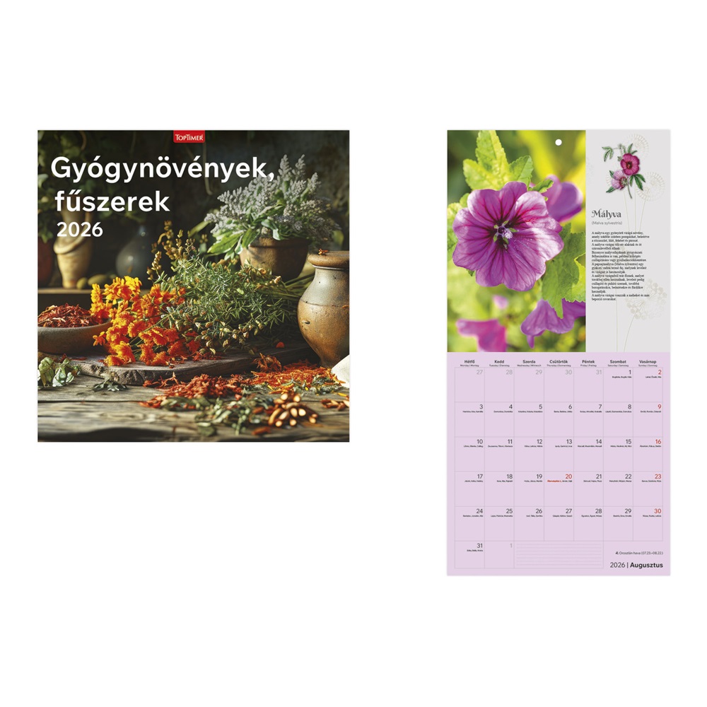 Kalendart 2026 T098 Gyógynövények, fűszerek falinaptár