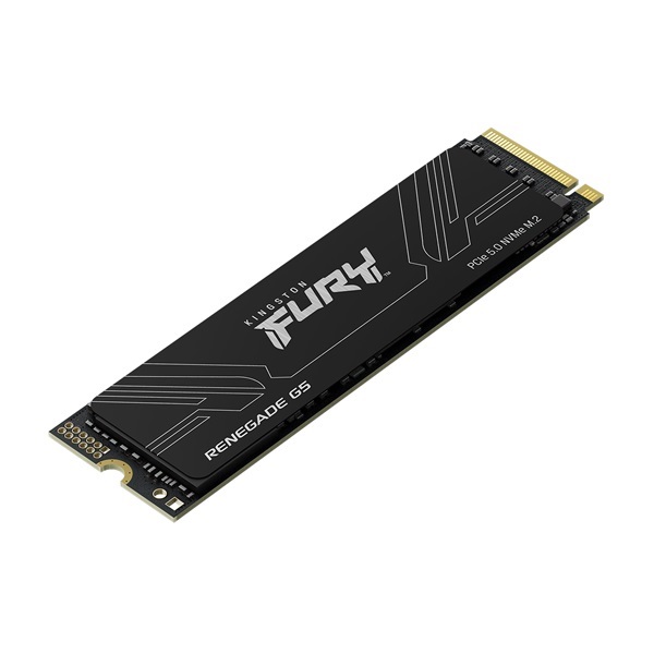 Kingston 4TB M.2 PCIe 5.0 FURY Renegade G5 (SFYR2S/4T0) SSD