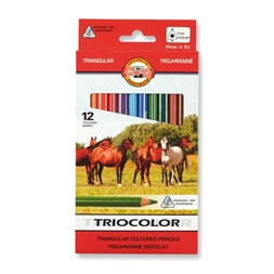 Koh-I-Noor Triocolor háromszögletű vastag 12 db-os vegyes színesceruza készlet
