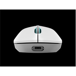 LENOVO Legion M600 Wireless Gaming Mouse (Stingray)