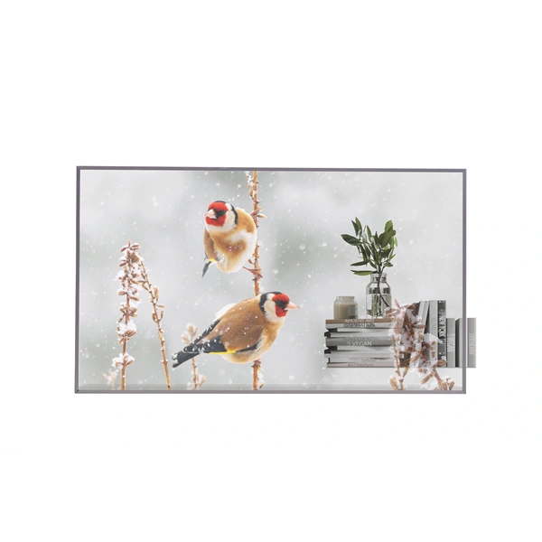 LG 55" 55EW5P-M FHD OLED LFD kijelző