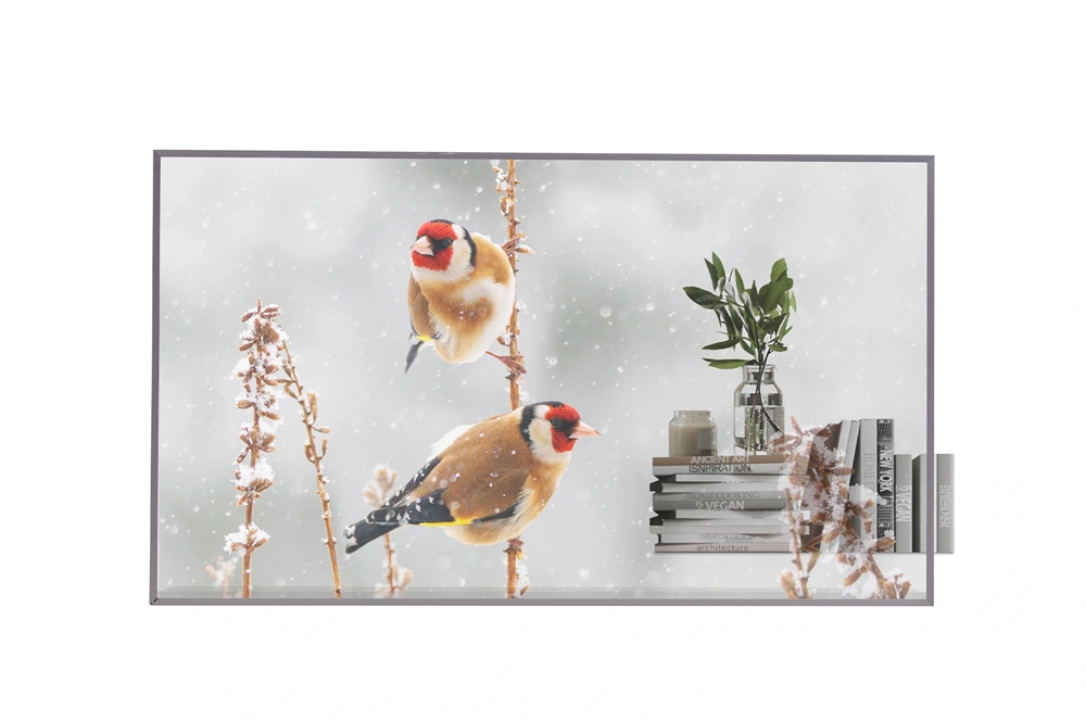 LG 55" 55EW5P-M FHD OLED LFD kijelző