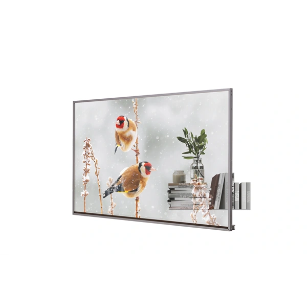 LG 55" 55EW5P-M FHD OLED LFD kijelző