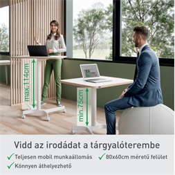 Leitz Ergo kisméretű fehér ülő-álló asztal