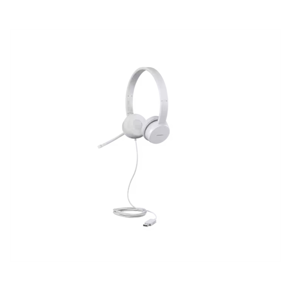 Lenovo 110 Stereo USB Headset
