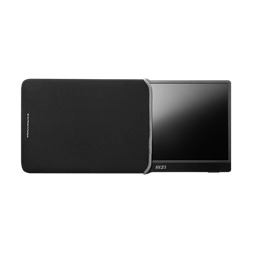 MSI 15,6" MP161 E2 Pro FHD IPS USB-C/miniHDMI szürke monitor
