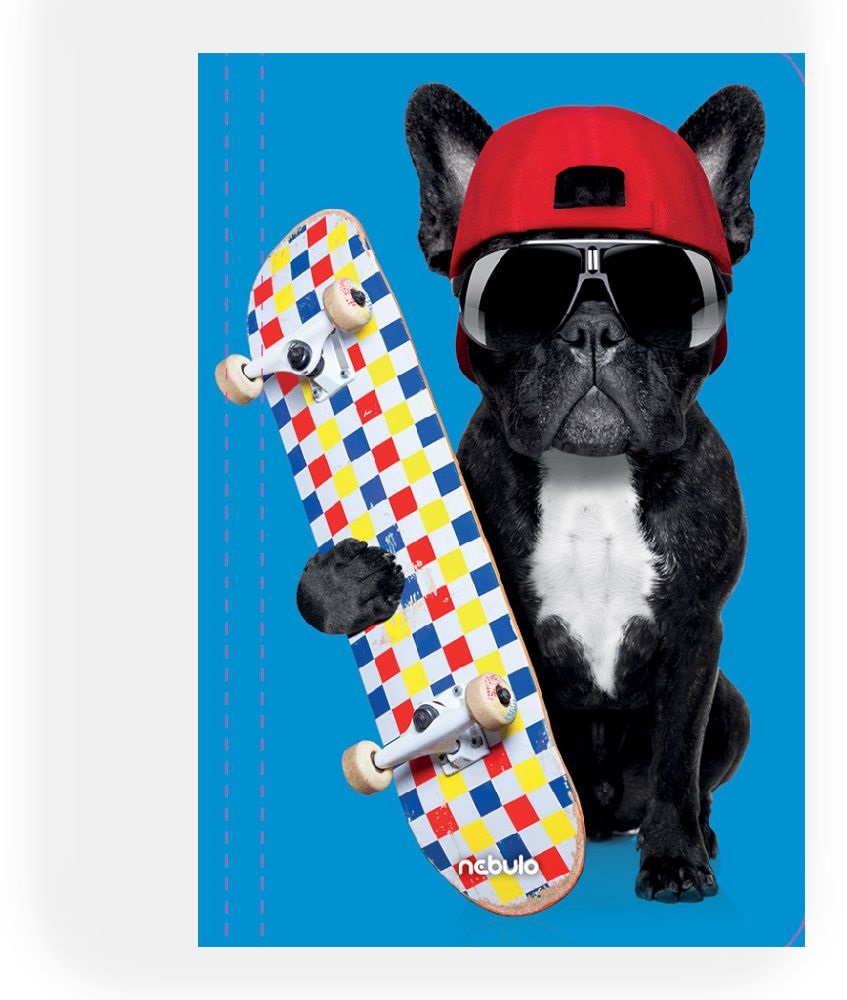 Nebulo Deszkás bulldog A4 gumismappa