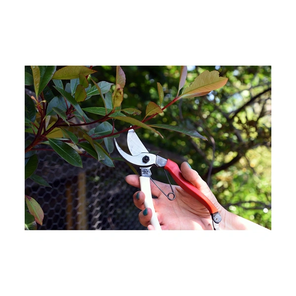 Okatsune 104 nagy kezek számára kerti olló