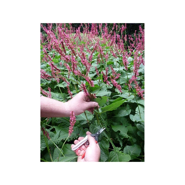 Okatsune 304 egyenes pengéjű metszőolló