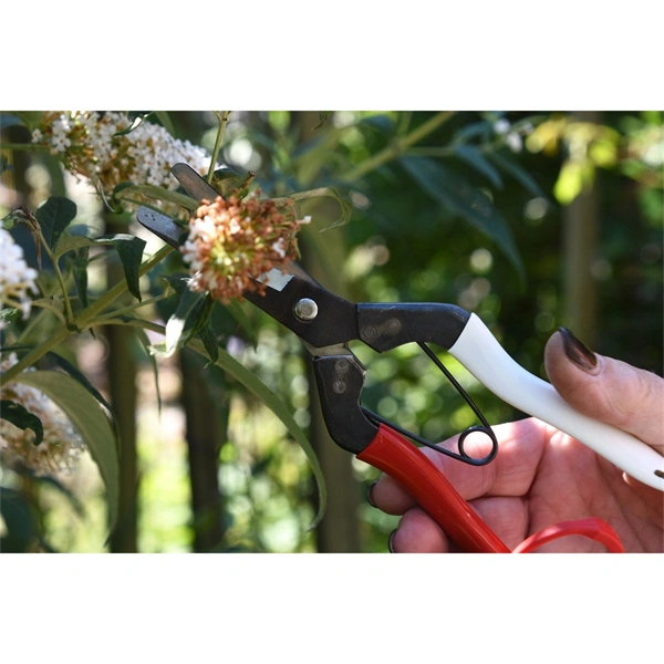 Okatsune 307 rövid pengéjű metszőolló