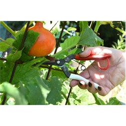 Okatsune 307 rövid pengéjű metszőolló