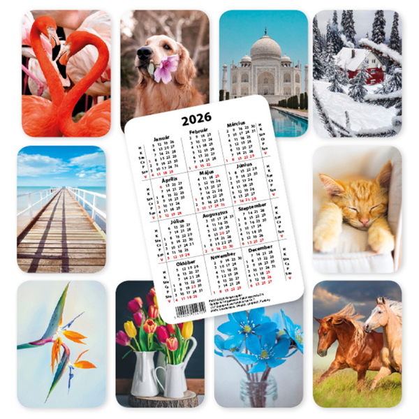 PD 2026 7x10 cm 10 féle képes álló kártyanaptár