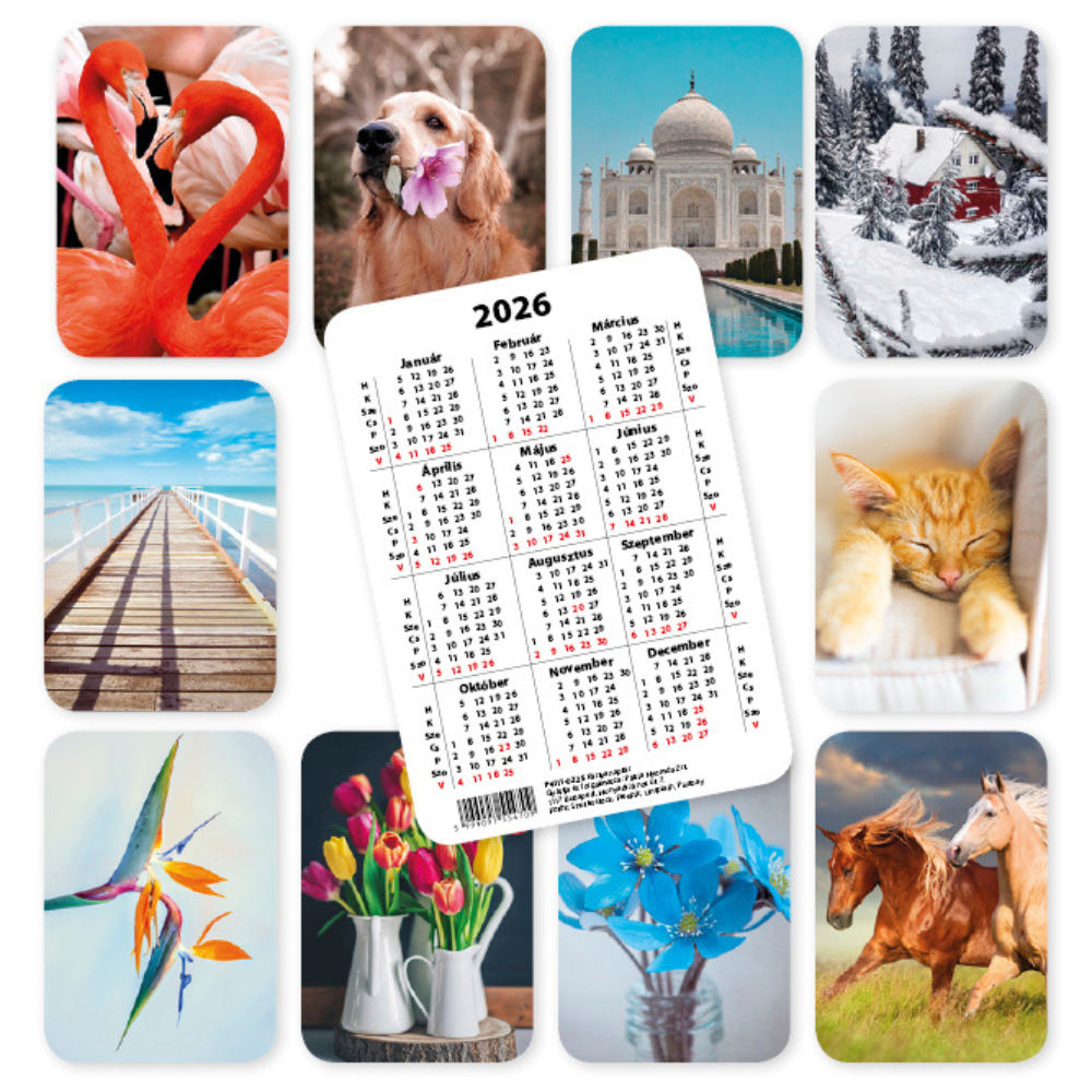 PD 2026 7x10 cm 10 féle képes álló kártyanaptár