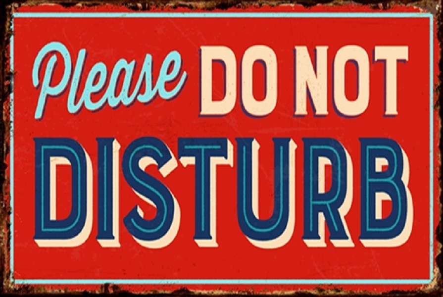 PF Please do not disturb 20x30 cm-es retro dekor fémtábla