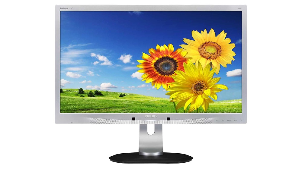 Philips 22" 220P4L WSXGA+ TN DP/DVI/VGA monitor (Használt A)