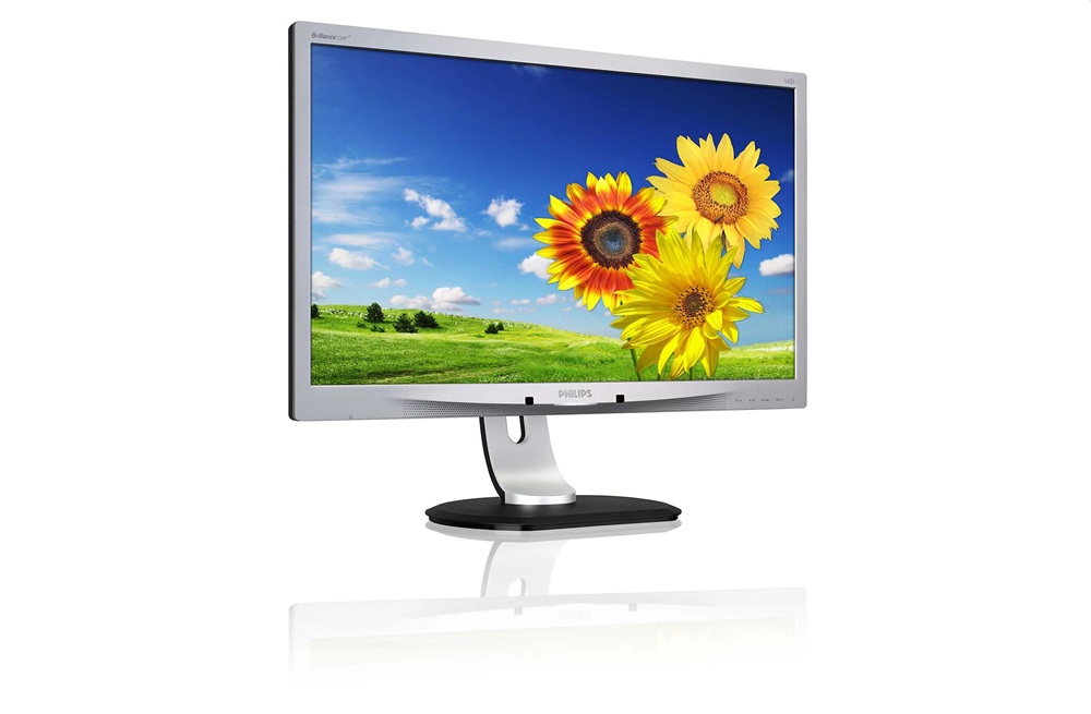 Philips 22" 220P4L WSXGA+ TN DP/DVI/VGA monitor (Használt A)