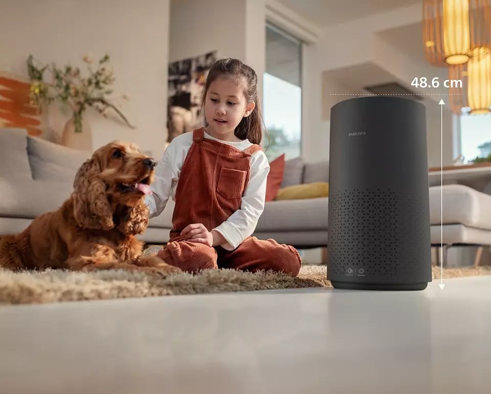 Philips AC1715/10 1000i légtisztító