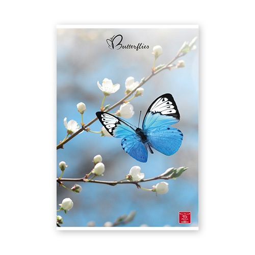 Pigna Butterflies A4 42 lap, tűzött, vonalas füzet