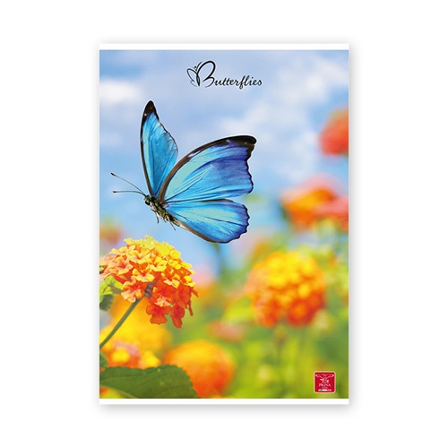 Pigna Butterflies A4 42 lap, tűzött, vonalas füzet
