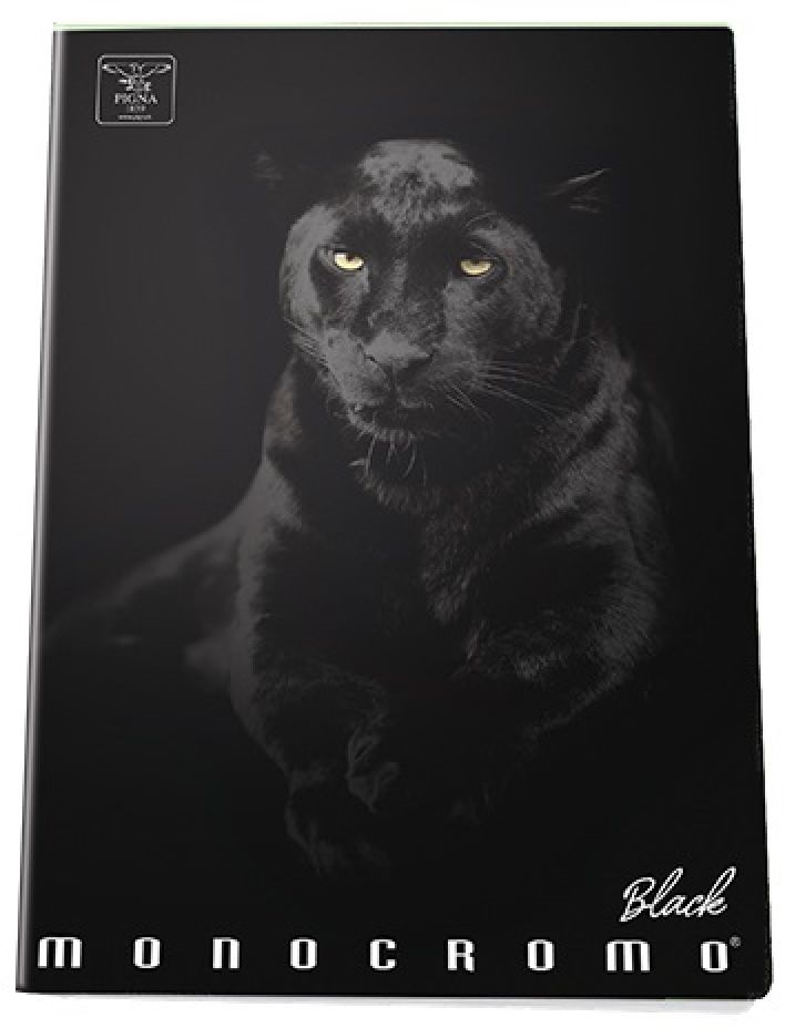 Pigna Moncromo Black Panther A5 vonalas notesz