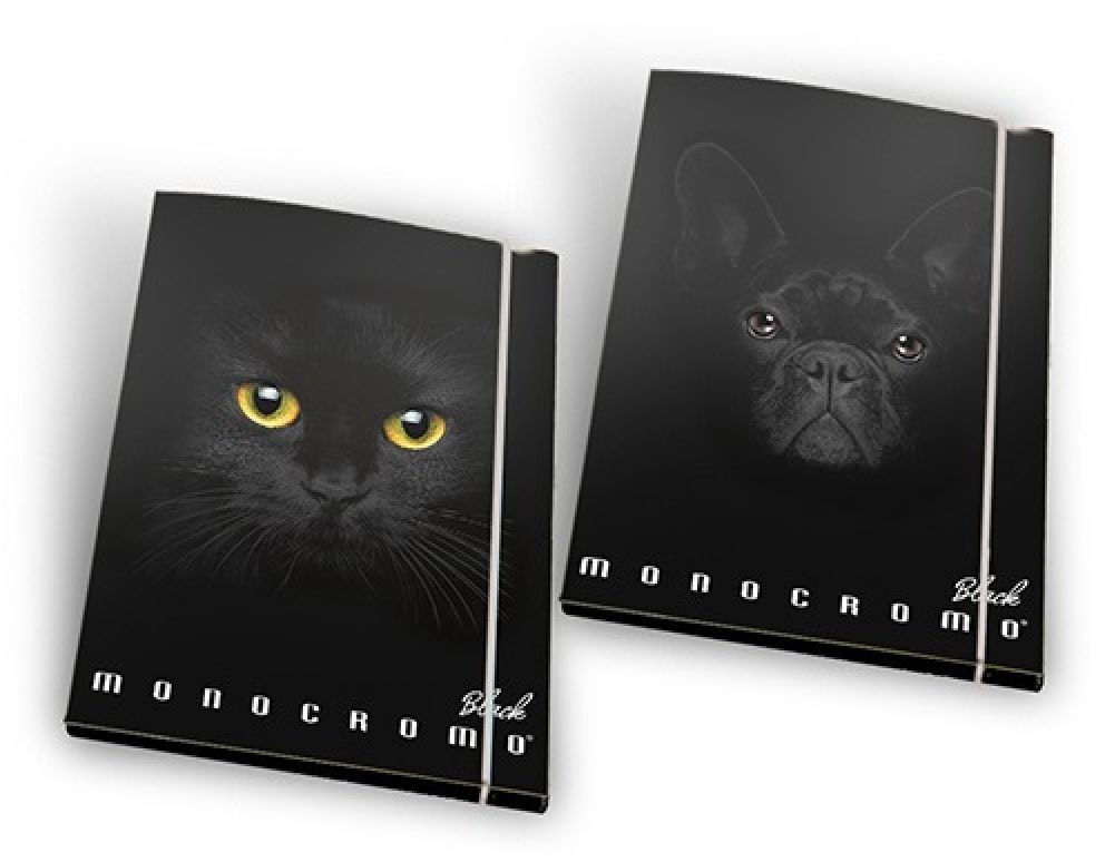 Pigna Monocromo Black A4 gumis mappa