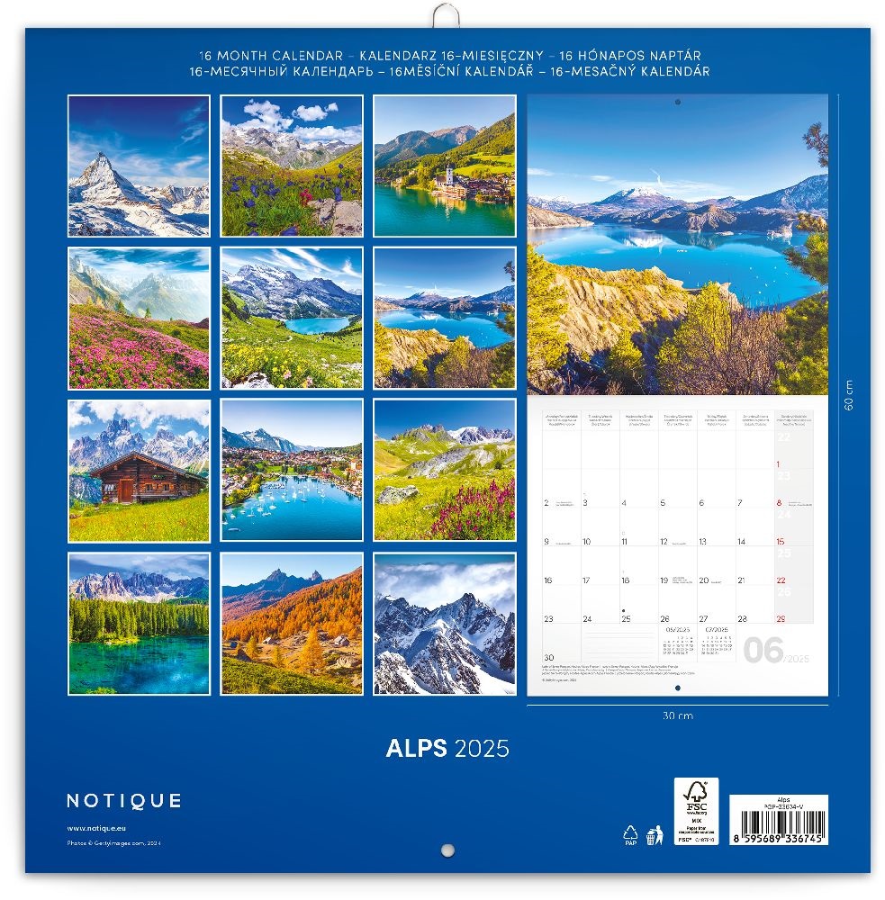Realsystem 2025 Alps 6097-AL falinaptár