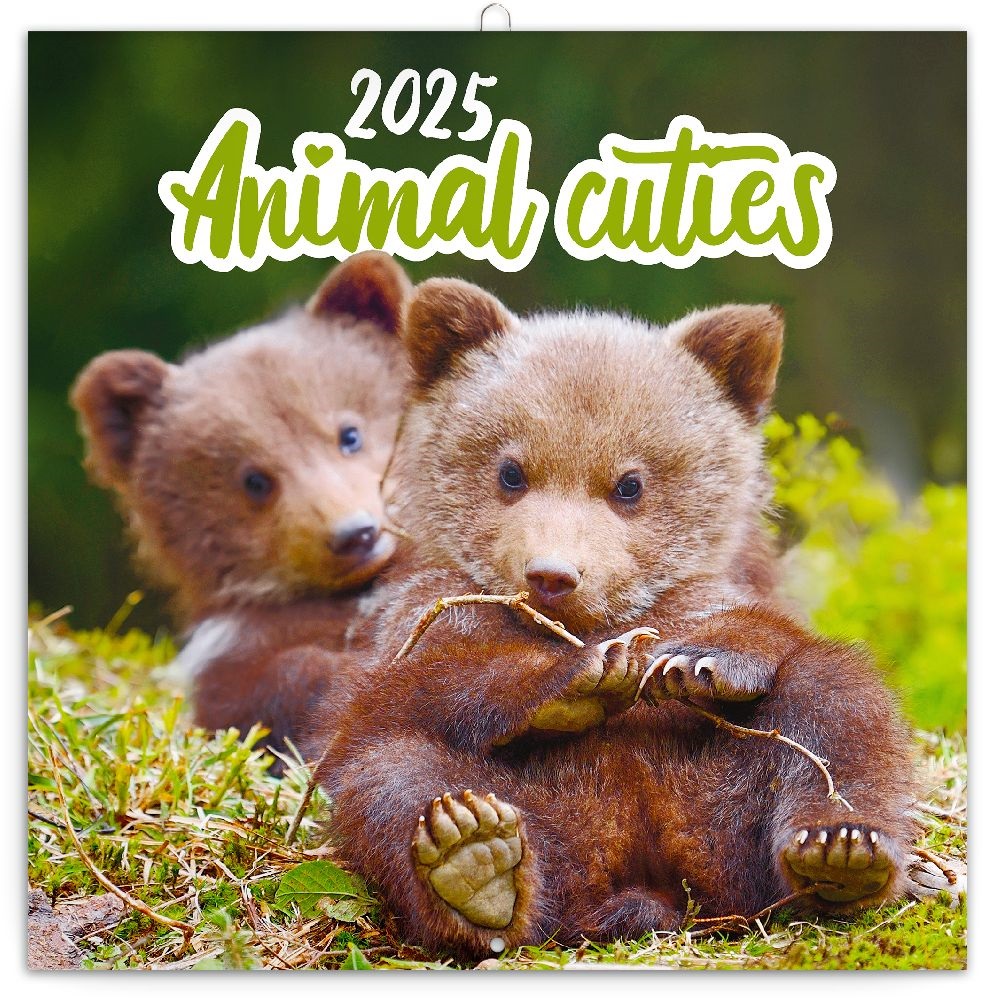 Realsystem 2025 Animal Cuties 6097-AC falinaptár
