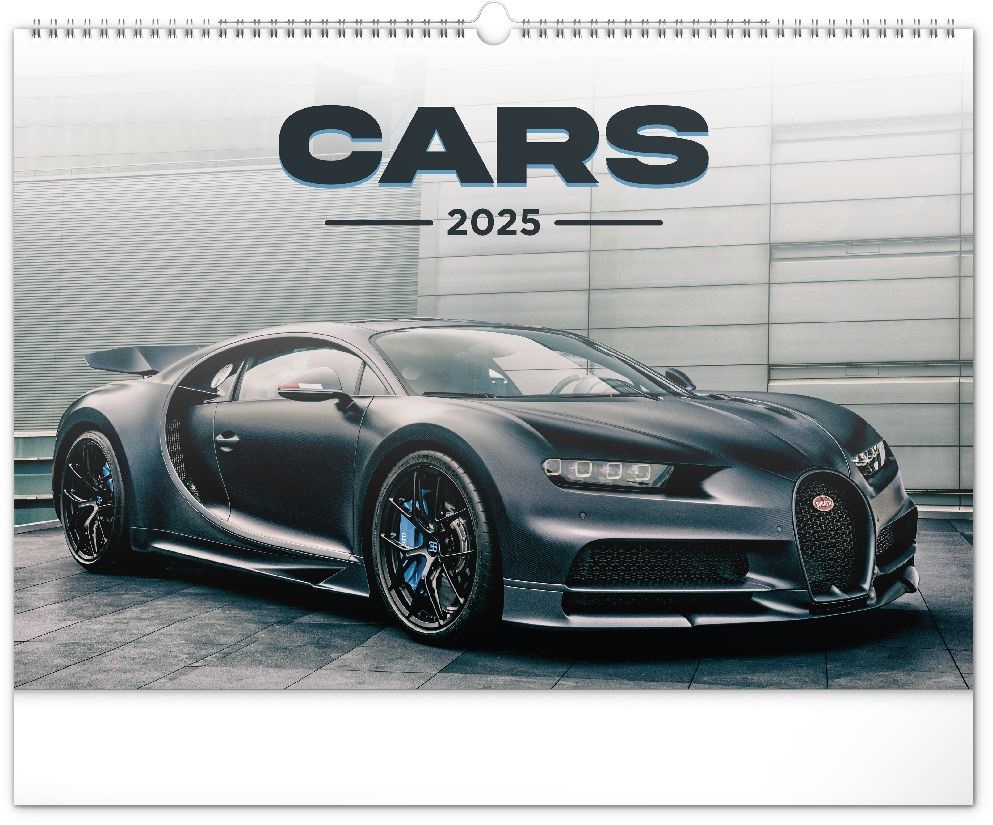 Realsystem 2025 Cars 6094-CA falinaptár
