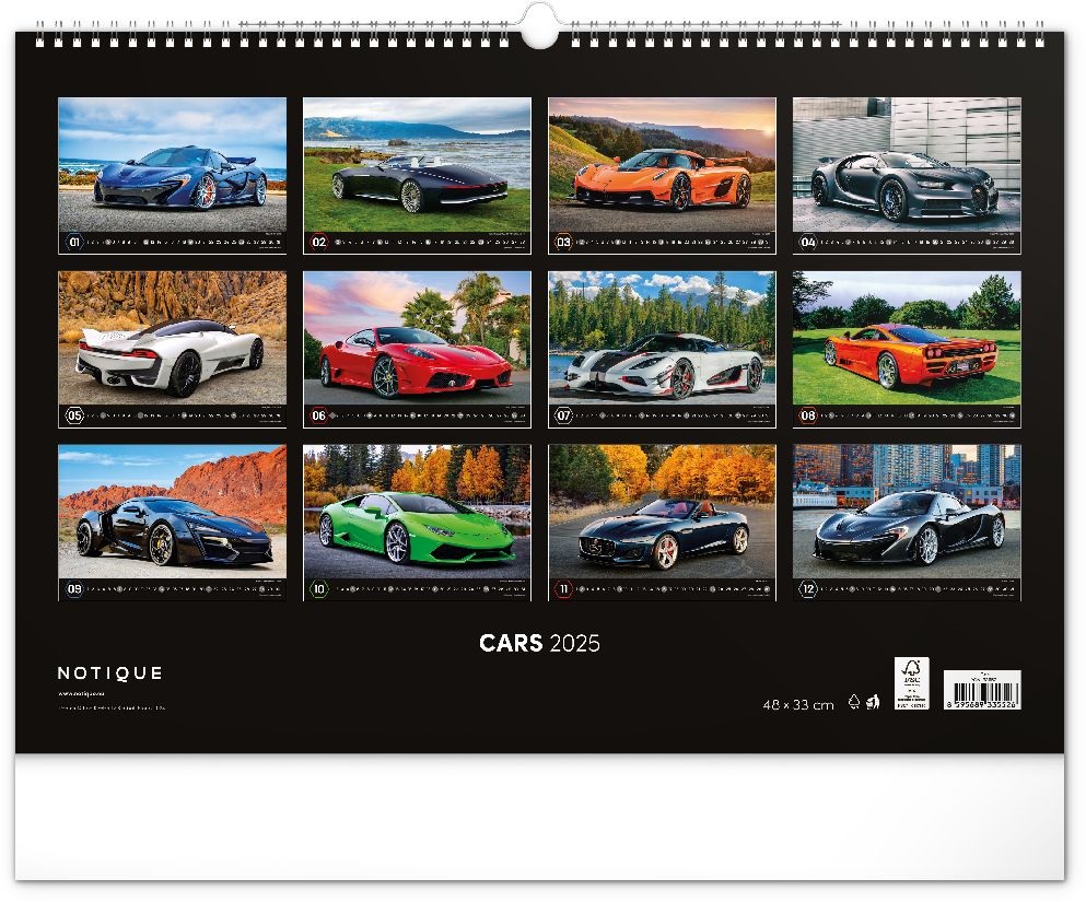 Realsystem 2025 Cars 6094-CA falinaptár
