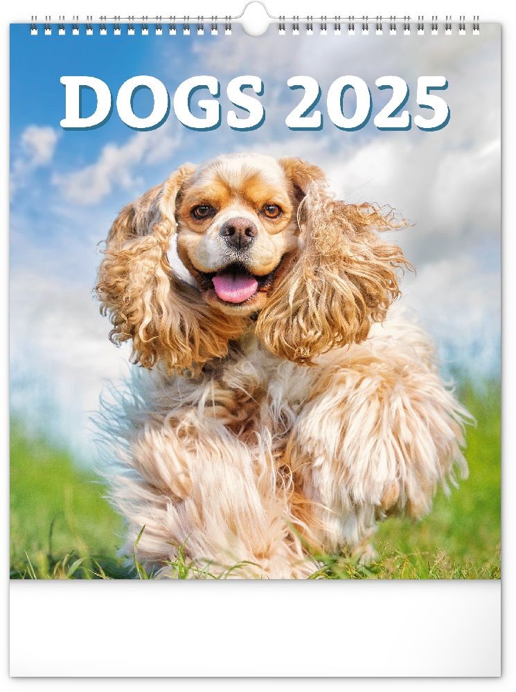 Realsystem 2025 Dogs 6087-DO falinaptár