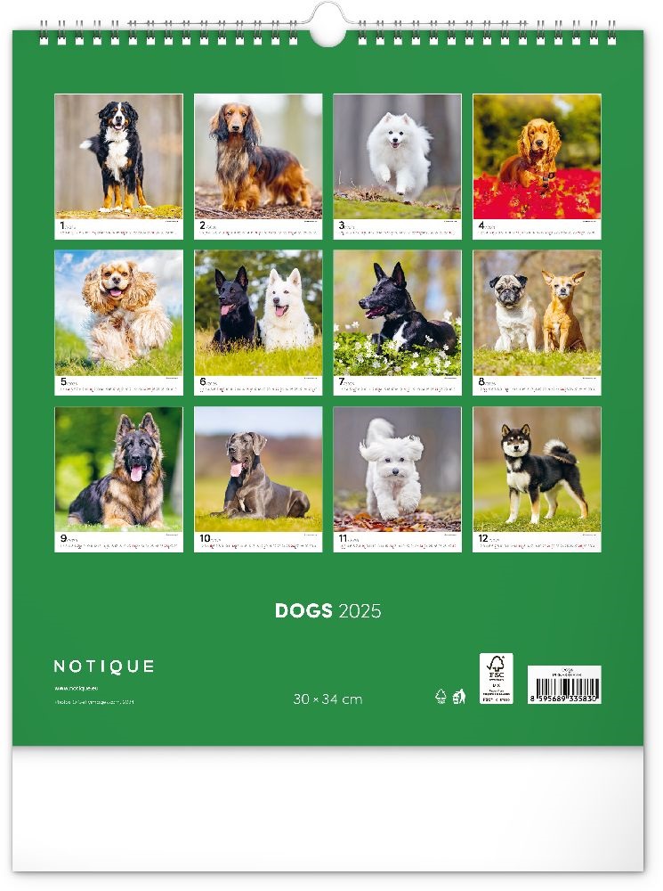 Realsystem 2025 Dogs 6087-DO falinaptár
