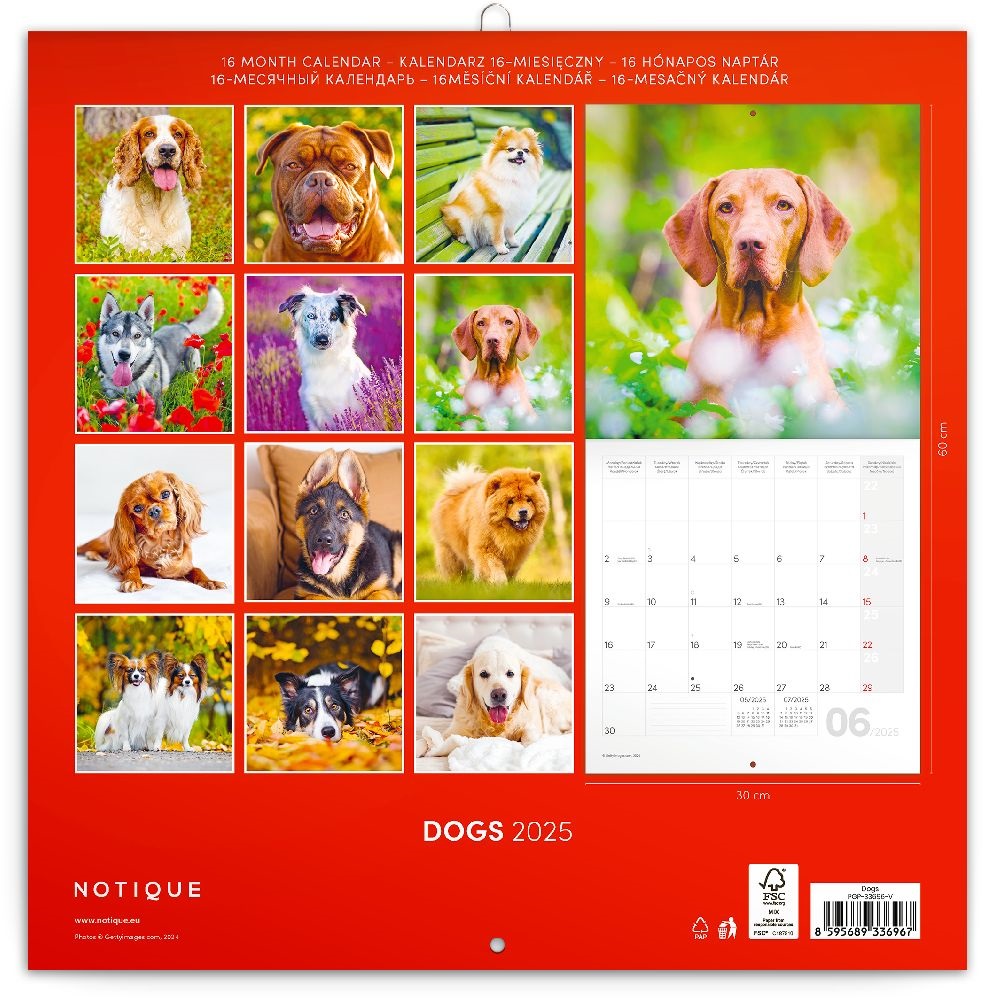 Realsystem 2025 Dogs 6097-DO falinaptár